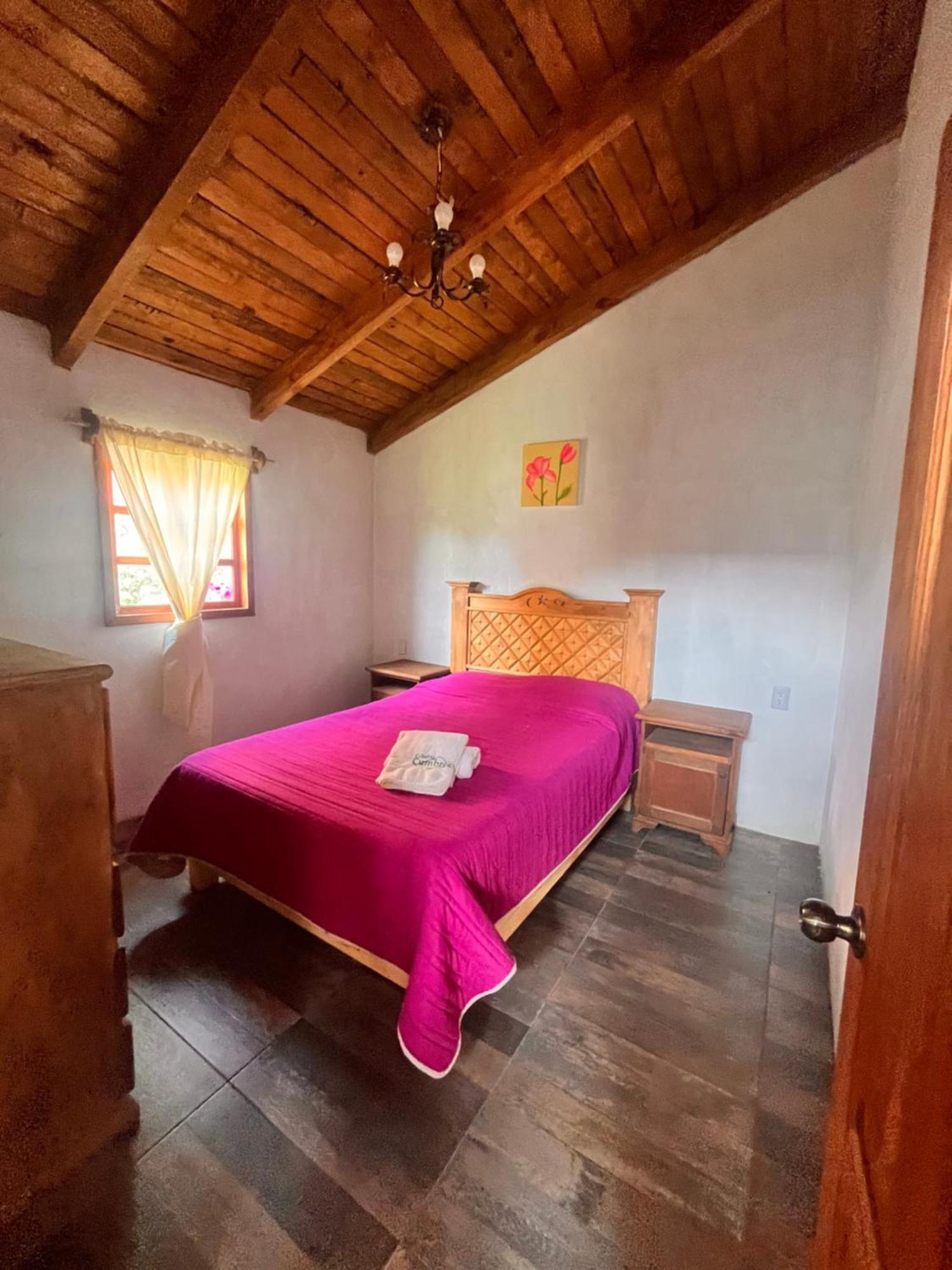 Cabanas Cumbres De Aguacatitla Huasca de Ocampo Cameră foto