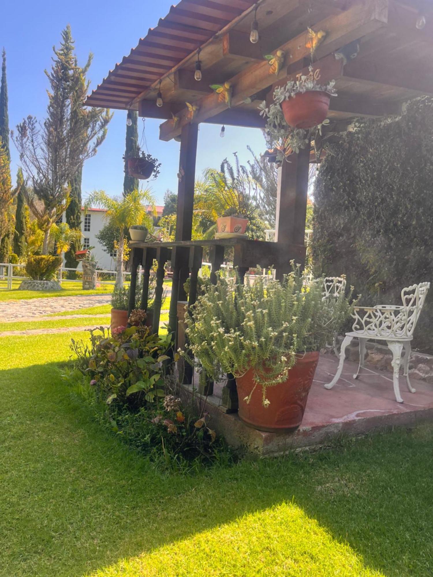 Cabanas Cumbres De Aguacatitla Huasca de Ocampo Exterior foto