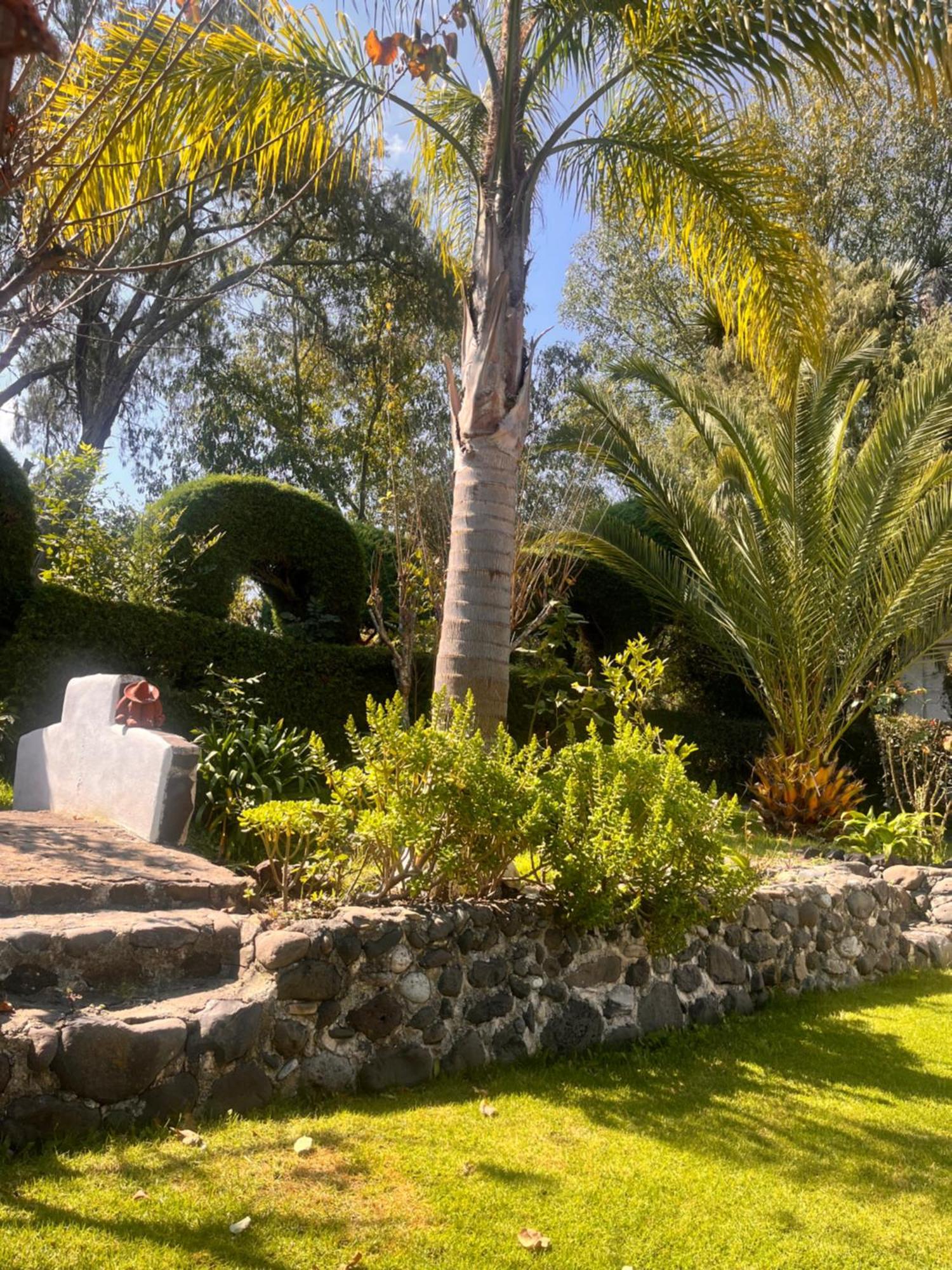 Cabanas Cumbres De Aguacatitla Huasca de Ocampo Exterior foto
