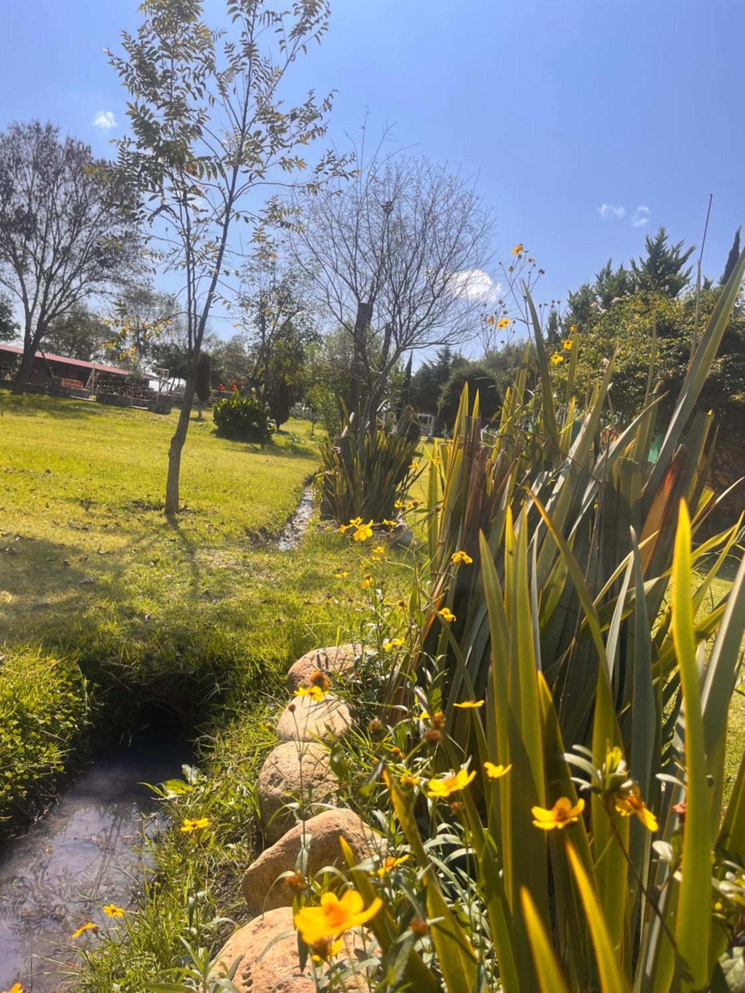 Cabanas Cumbres De Aguacatitla Huasca de Ocampo Exterior foto