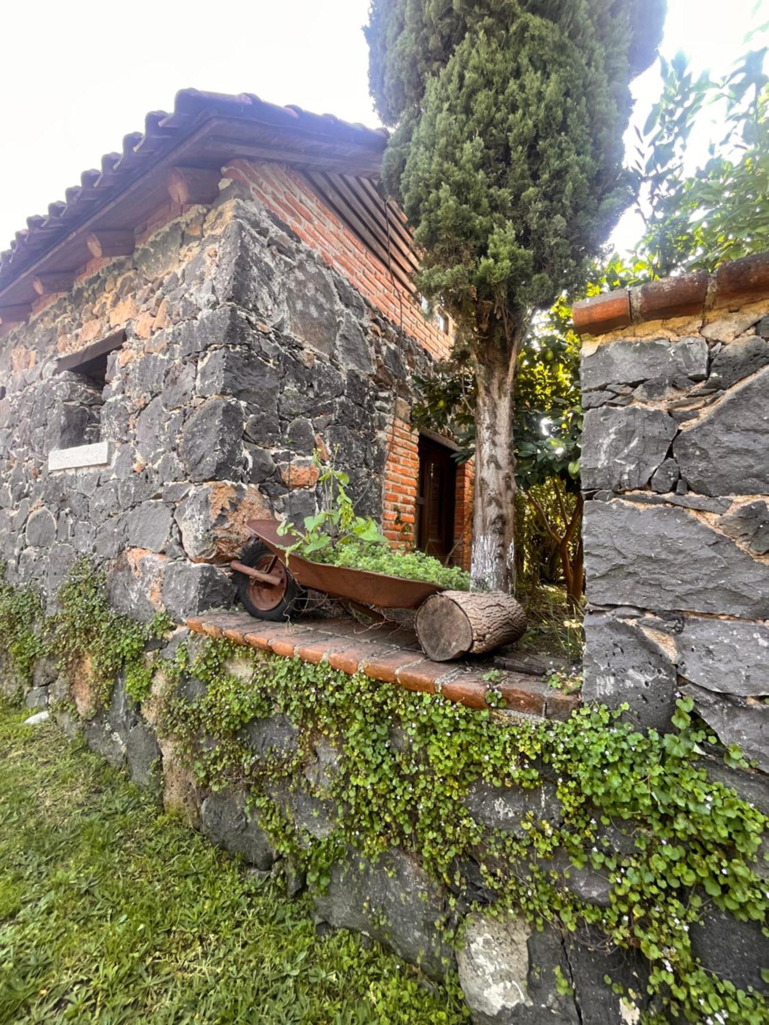 Cabanas Cumbres De Aguacatitla Huasca de Ocampo Exterior foto