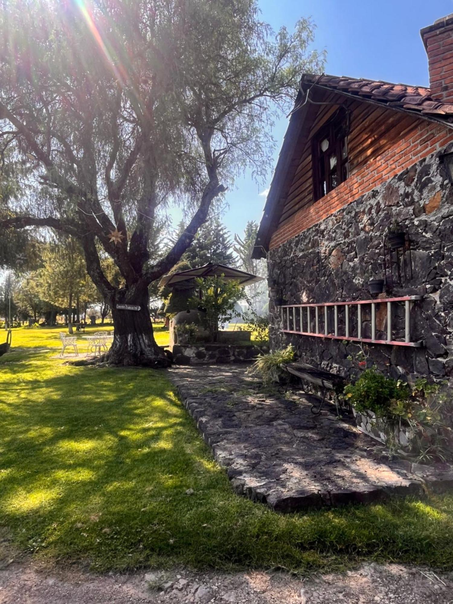 Cabanas Cumbres De Aguacatitla Huasca de Ocampo Exterior foto