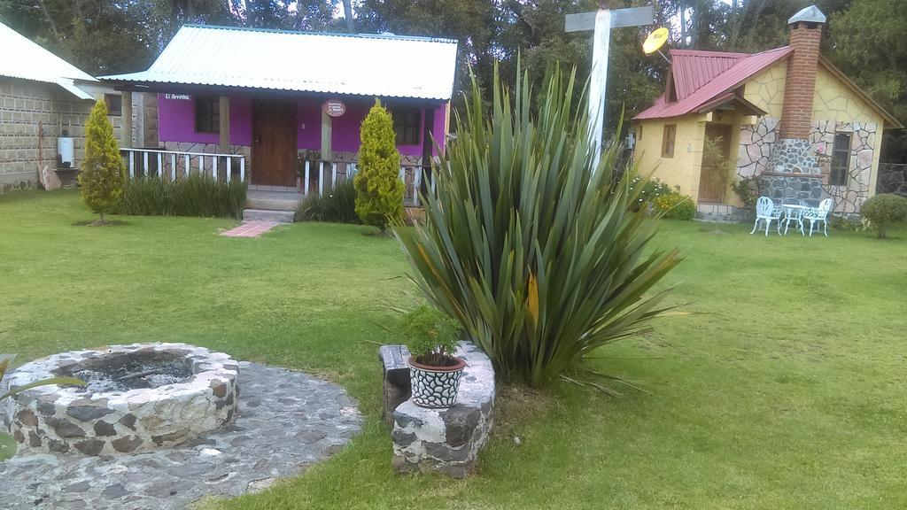 Cabanas Cumbres De Aguacatitla Villa Huasca de Ocampo Exterior foto